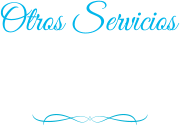 Otros Servicios